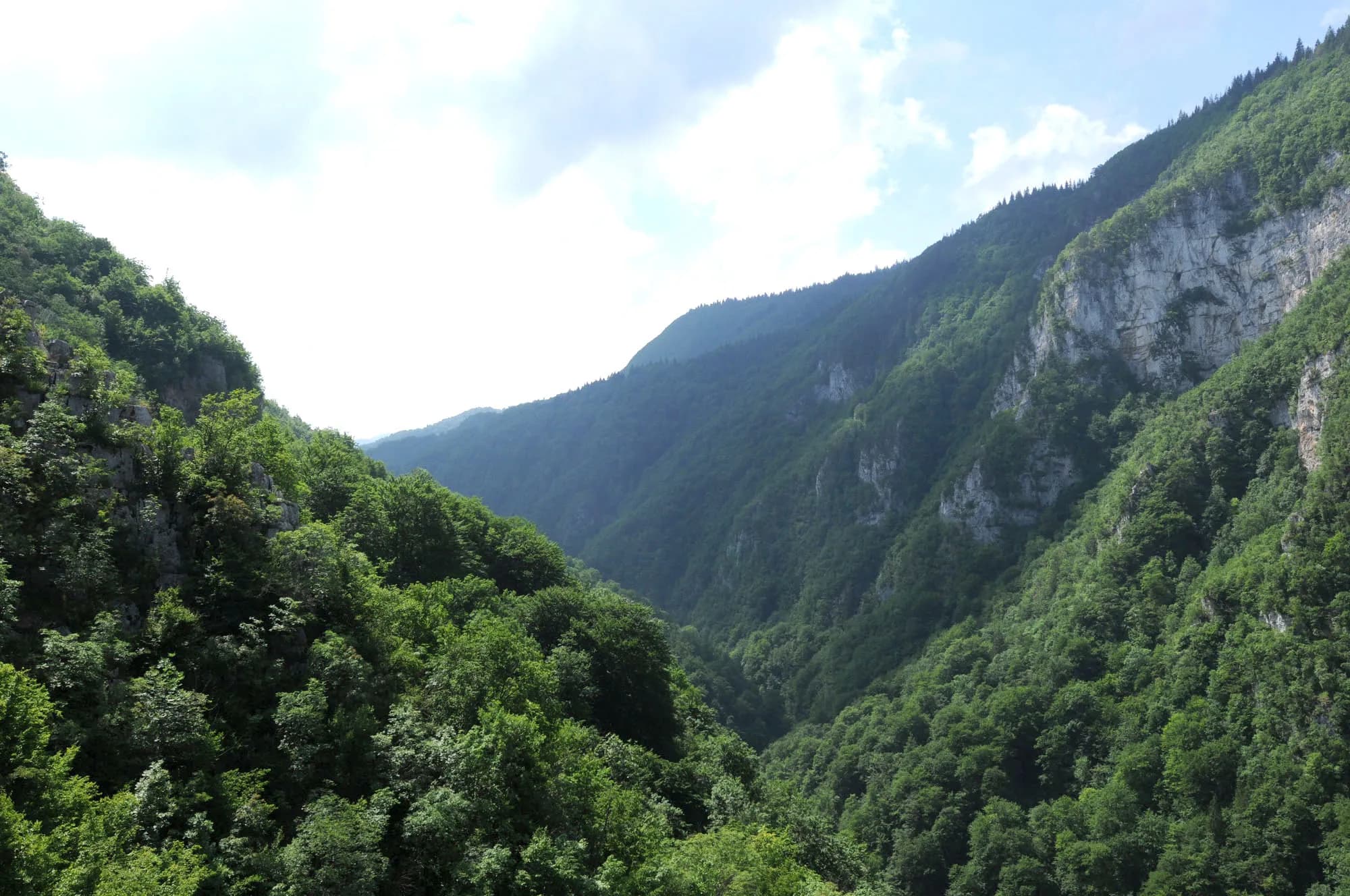 Bewaldete Steilhänge und Felswände der Ugar-Schlucht unter leicht bewölktem Himmel